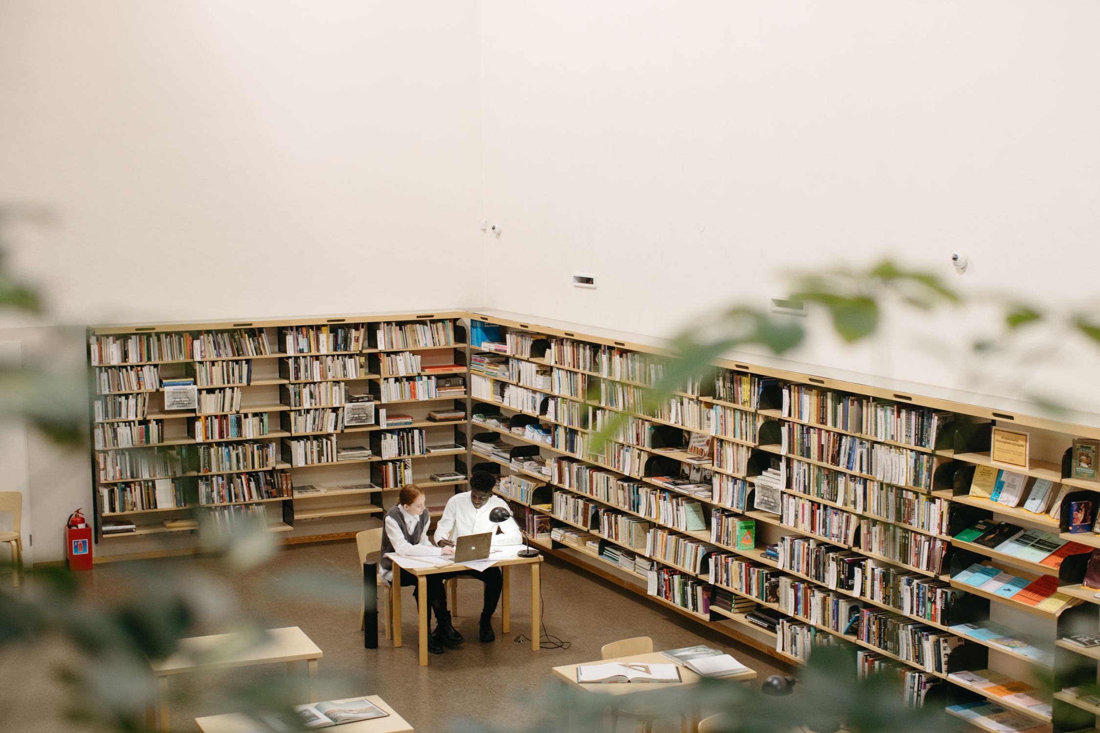 Students Studying at the Library · Free Stock Photo