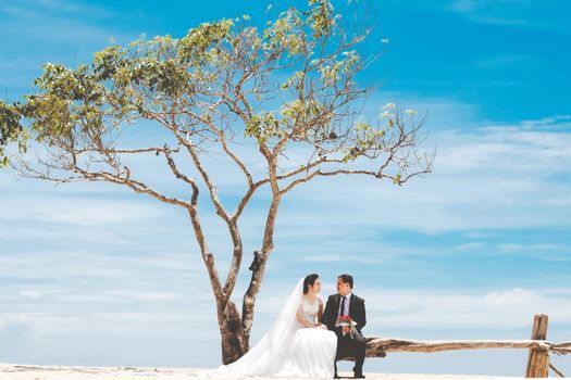Full body of romantic newlywed couple sitting on bench under tree branches and looking at each other