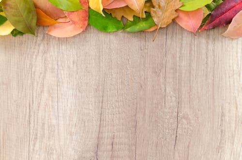 Free Assorted-color Leaves on Wooden Surface Stock Photo
