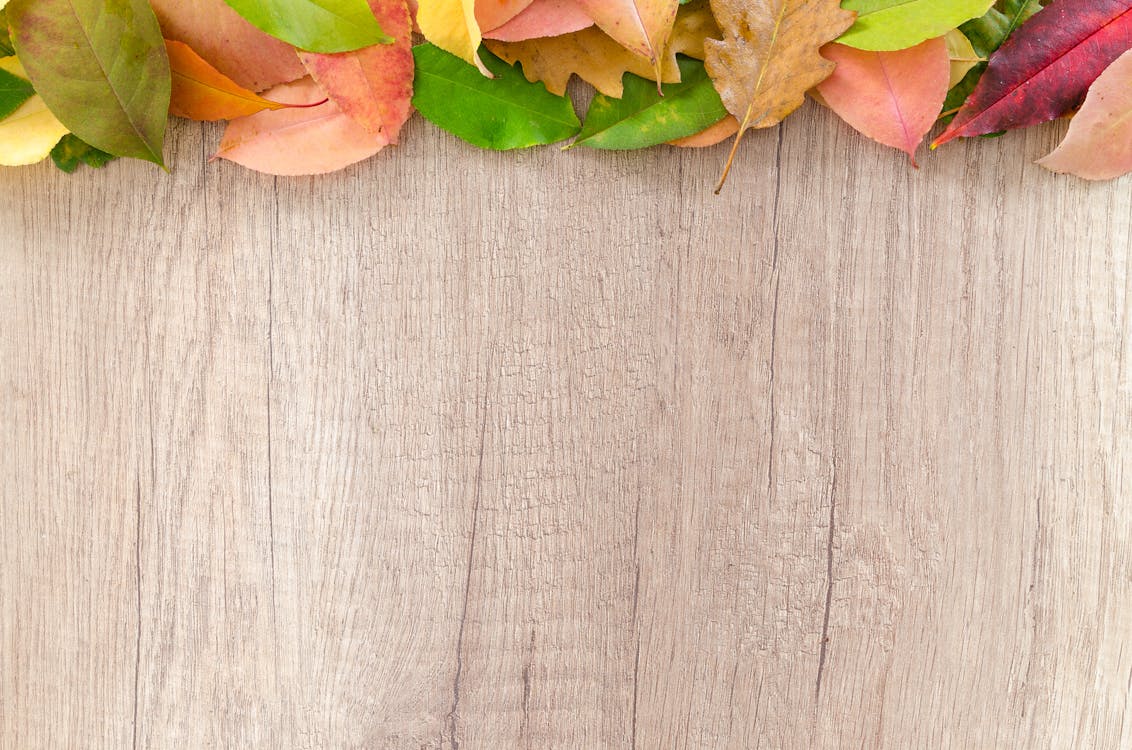 Assorted-color Leaves on Wooden Surface