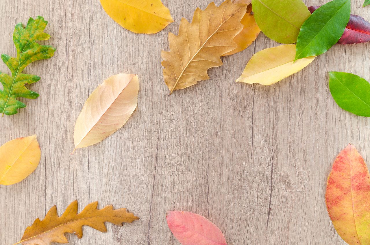 colorful autumn leaves scattered on a wooden table capturing fall s es