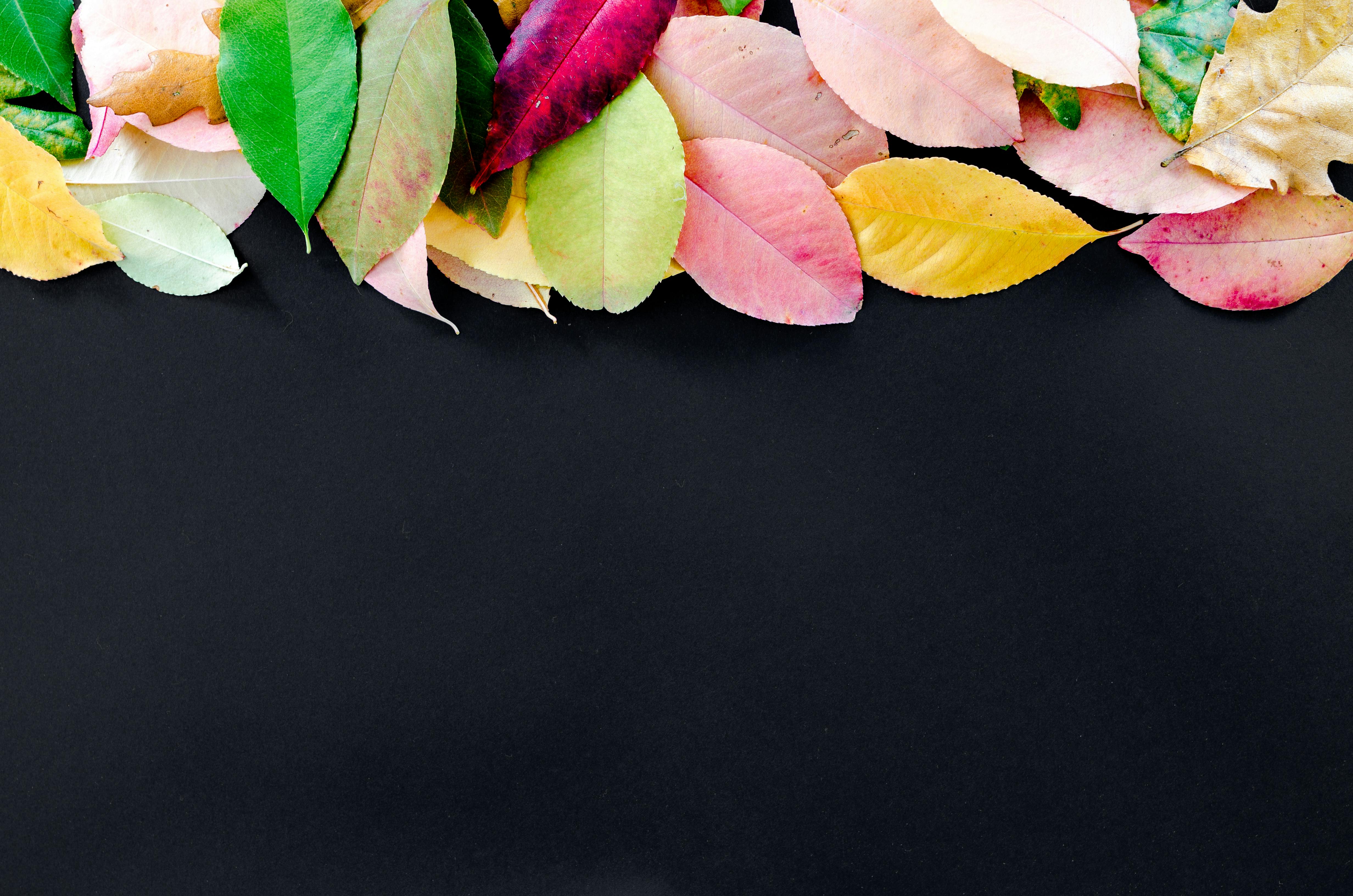 Free stock photo of abstract, autumn, background