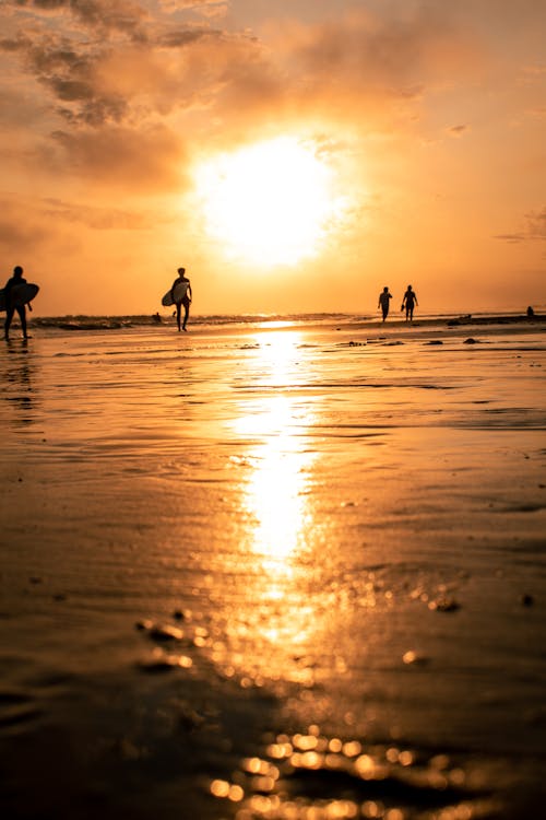 Silhouette of People at the Beach