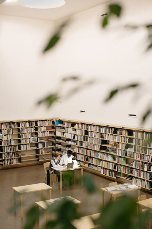 Бесплатное стоковое фото с библиотека, в помещении, вертикальный выстрел