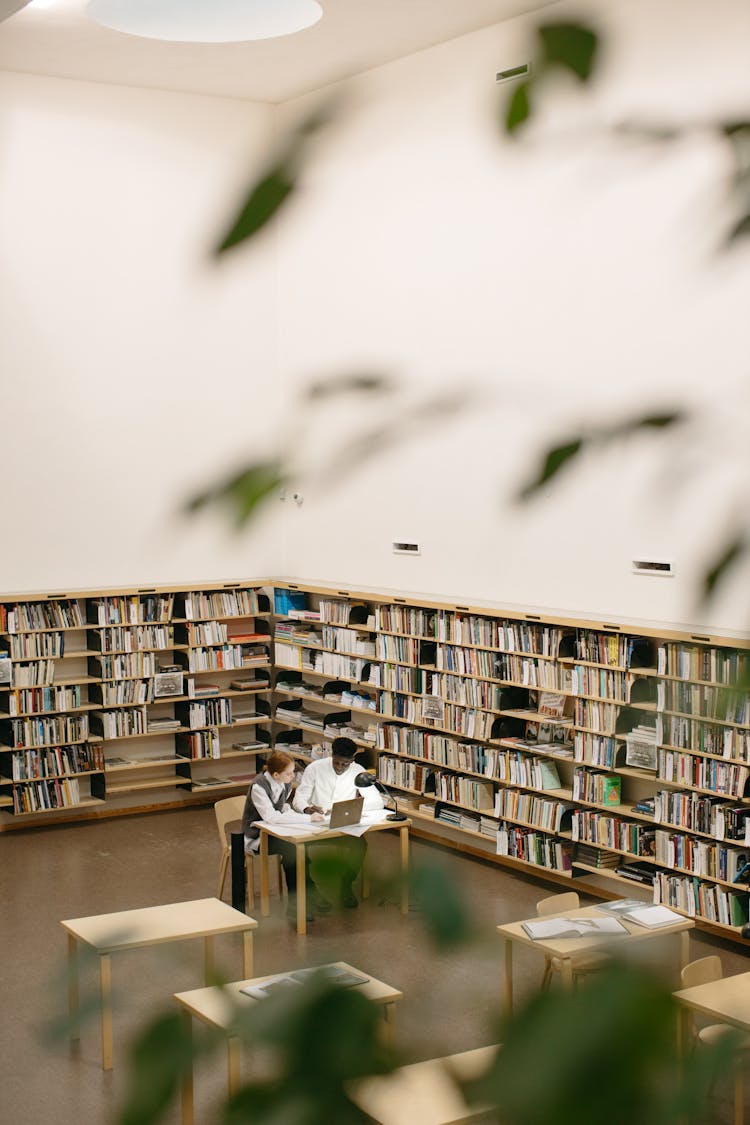 People Sitting On Brown Wooden Chair Beside Bookshelves