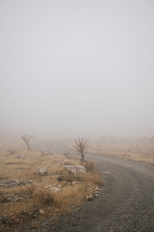 A Dirt Road during Foggy Weather
