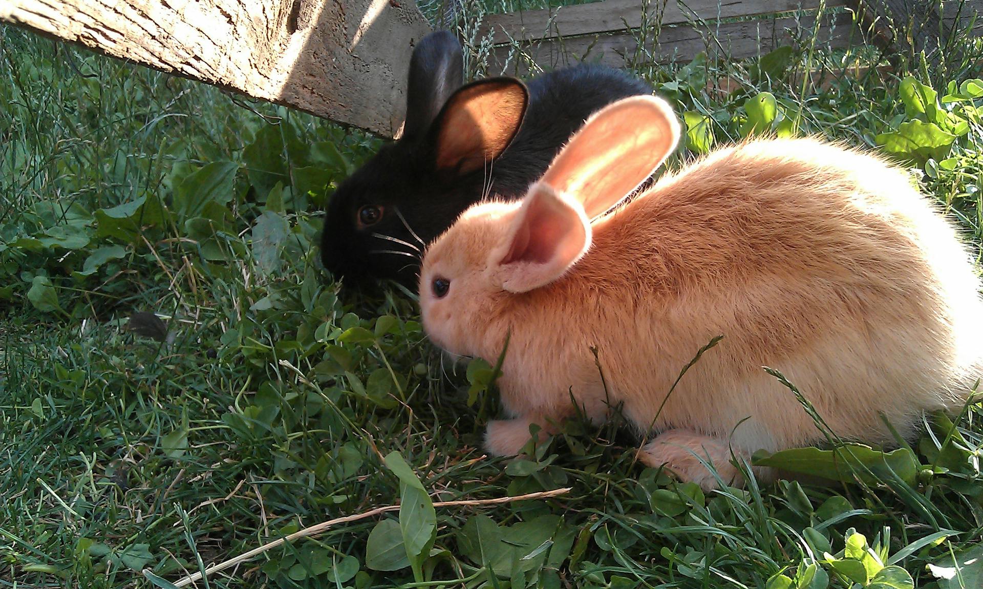 Basement Waterproofing benefits