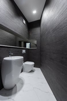 Wall Mounted Toilet