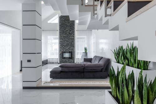 Modern villa interior with spacious living room with comfy sofa decorated with fresh green houseplants growing in pots placed near staircase