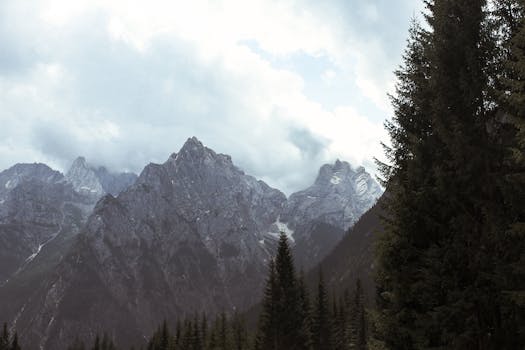 Scenic mountain view with towering peaks and lush pine forest under a cloudy sky.
