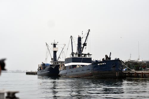 Fishing Boats Docked on Pier