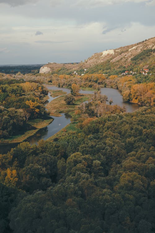 Photos gratuites de arbres, fleuve, fond d'écran gratuit