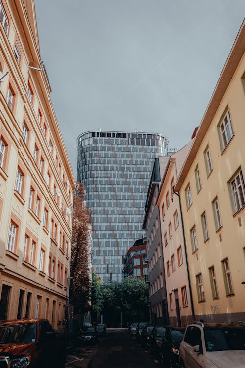 Buildings Near the Street