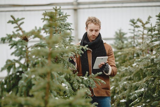 Caucasian man in winter attire using a digital tablet among snow-dusted trees in a nursery.