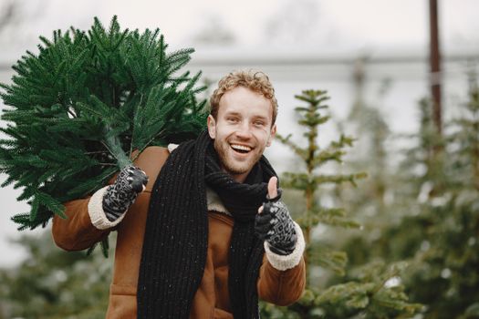 A joyful adult wearing warm clothing carries a Christmas tree in a festive outdoor setting.