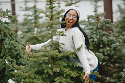 Ilmainen kuvapankkikuva tunnisteilla afroamerikkalaiset naiset, hymyily, joulukuusi