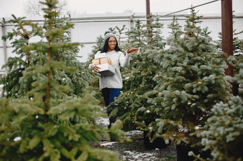 A Woman Holding Gift Boxes near the Christmas Trees
