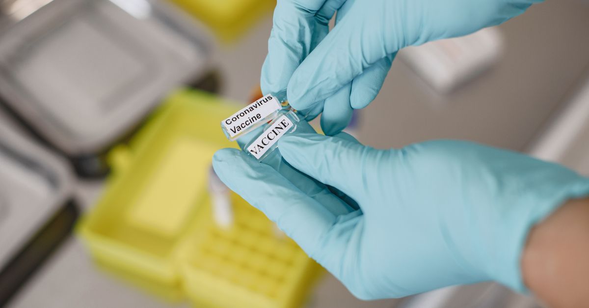 Innovative Zika Vaccine Uses E Protein Mutations for CD8 Protection