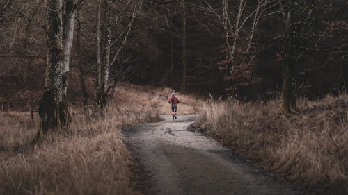 Back View of a Person Walking on a Trail