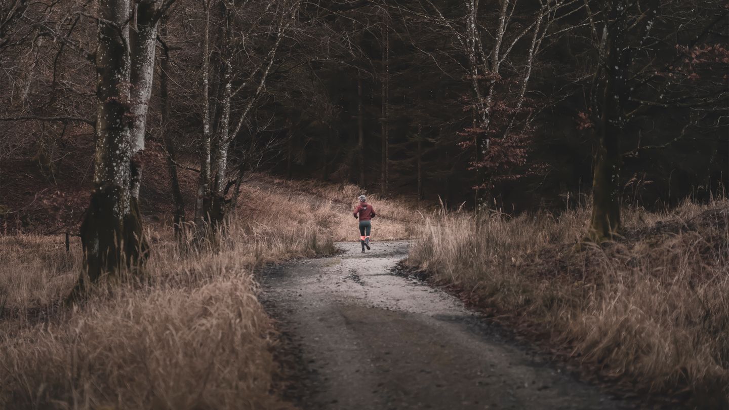 Trail en forêt : découvrir le running nature en automne 2026