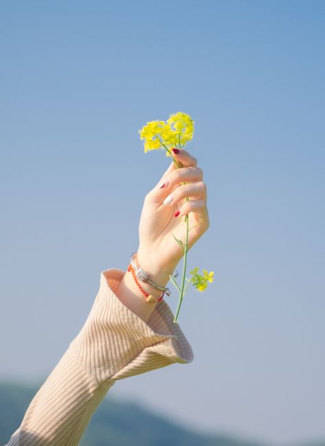 A delicate yellow wildflower held by a hand reaches towards the clear blue sky, symbolizing nature's beauty.