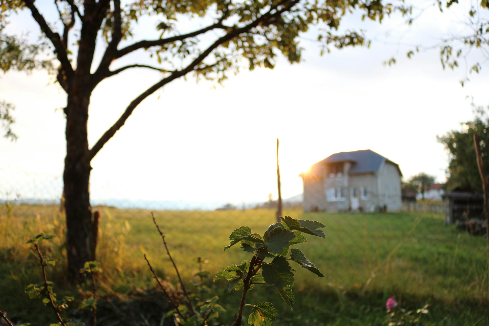 Scenic rural landscape with a house, green fields, and the sunset creating a serene atmosphere.