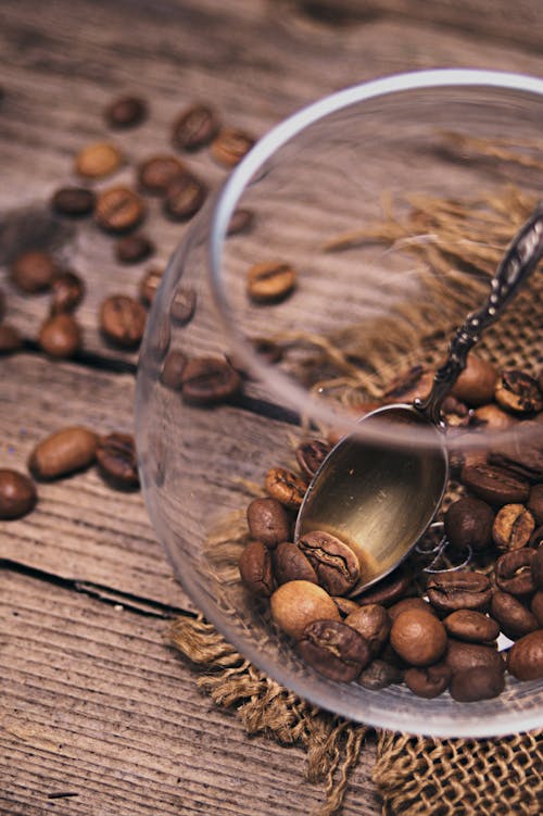 Spoon on a Glass Cup with Coffee Beans
