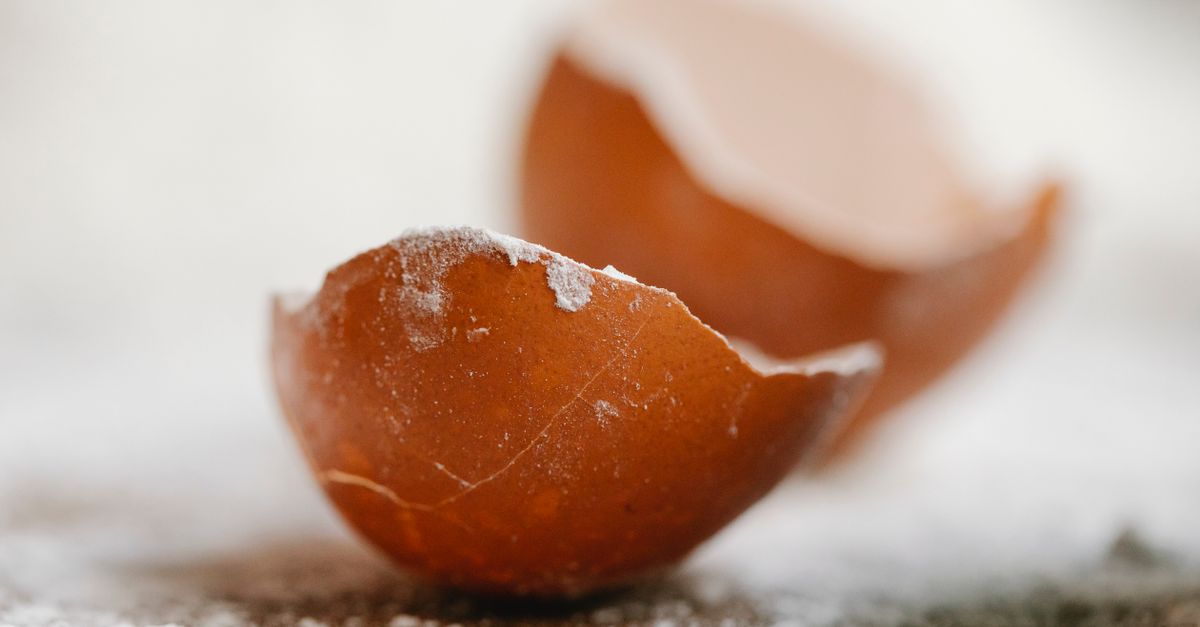Simple Eggshell Thin eggshell on kitchen table for cooking · Free Stock Photo