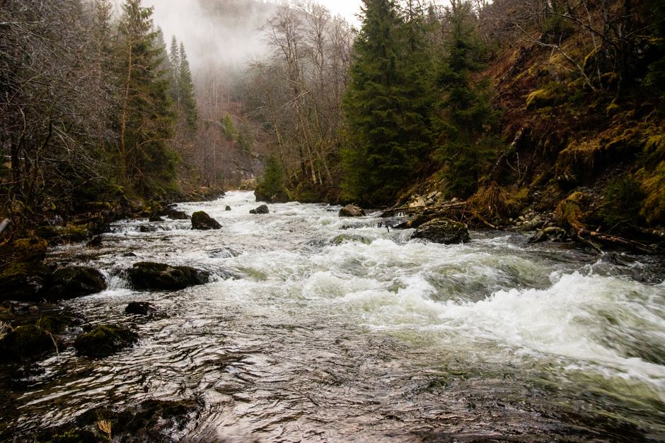 Stunning Tromsø: Fjord Adventure Tour with Wildlife and Lunch Review 2026 - A scenic view of rapids flowing through a misty forest in Vossevangen, Norway.