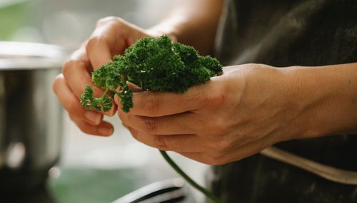 Free Crop unrecognizable female chef touching verdant green parsley while cooking in light kitchen Stock Photo