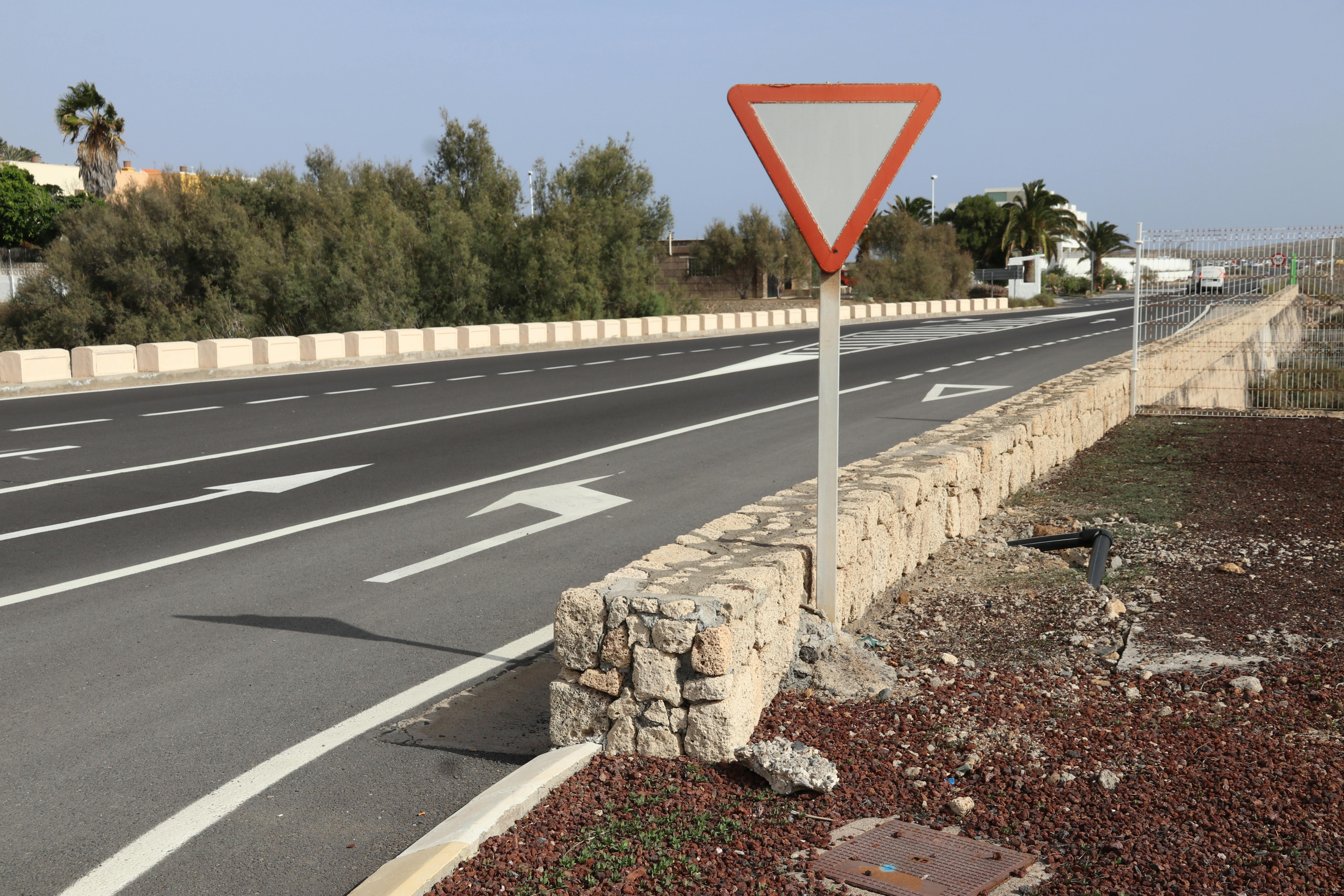 Creamy pasta served in bowls, garnished with herbs and cheese