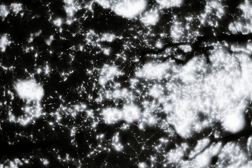 Darmowe zdjęcie z galerii z czarne tło, linie, oświetlony