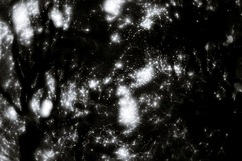 갤럭시, 관념적인, 별 별자리의 무료 스톡 사진