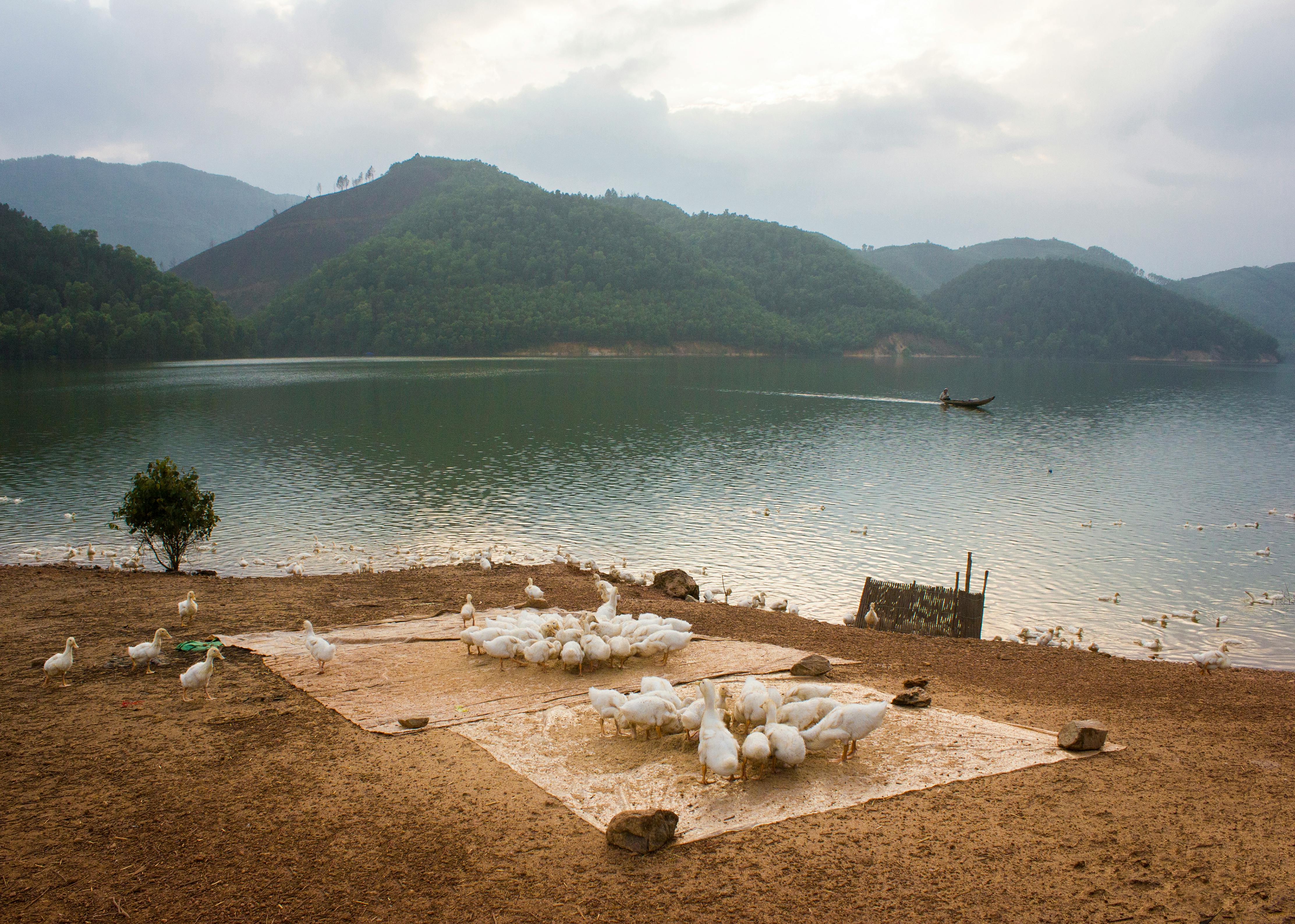 Miễn phí Ảnh lưu trữ miễn phí về 107 5908628, 16 4637117, Ăn Ảnh lưu trữ