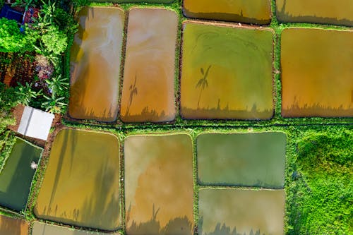 Бесплатное стоковое фото с агрономия, вид с квадрокоптера, вид сверху