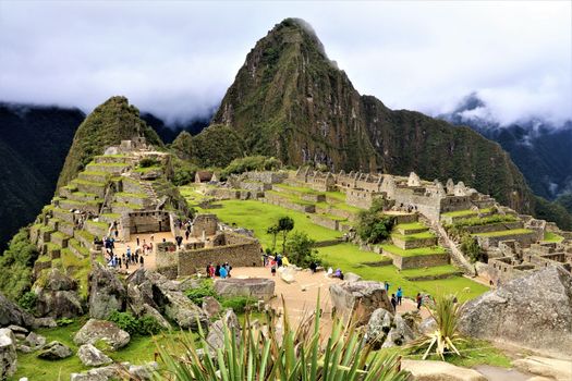 Machu Picchu, Peru photo 23