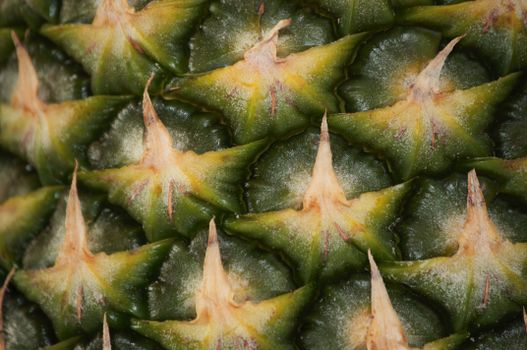  Pineapple Fruit Skin in Close-Up Photography