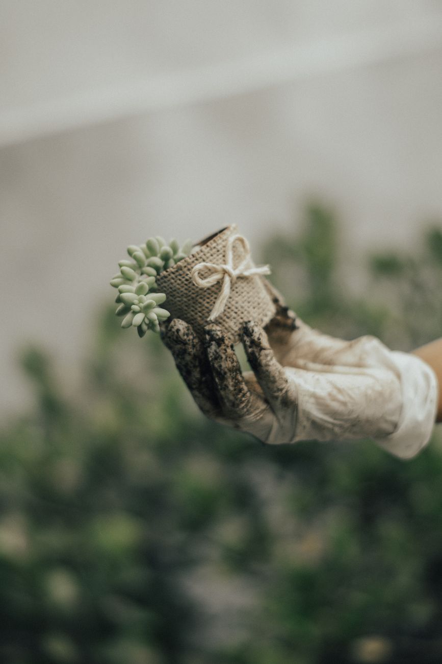 luxury gardening gifts Vergleich