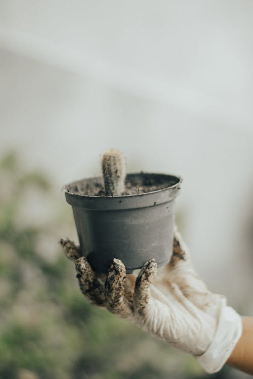 Person Wearing a Glove Holding Pot