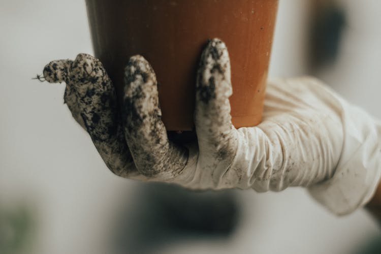 Hand With Latex Glove Holding A Brown Pot