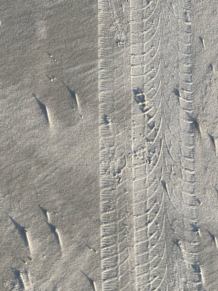 Tire Marks On The Gray Sand