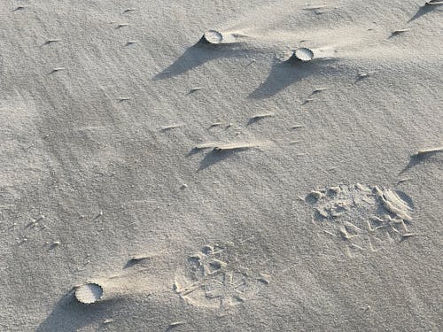 Ilmainen kuvapankkikuva tunnisteilla hiekka, hiekkaranta, jalanjälki