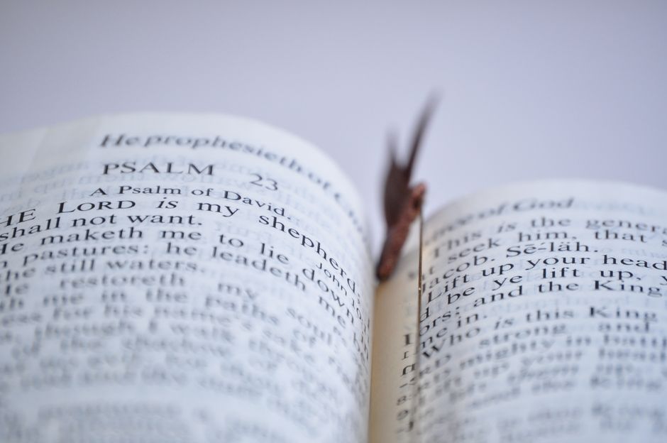 An open Bible with a focus on the Psalms for comfort - Biblical grief support services An open Bible with a focus on the Psalms for comfort - Biblical grief support services