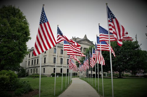 Kostnadsfria Kostnadsfri bild av Amerikanska flaggor, flaggor, flaggstänger Stock foto