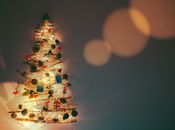 Free stock photo of abstract, branches, celebration