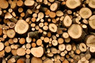 Firewood Lot