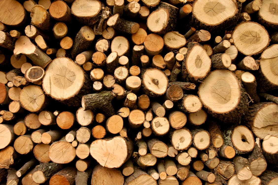 Free Firewood Lot Stock Photo