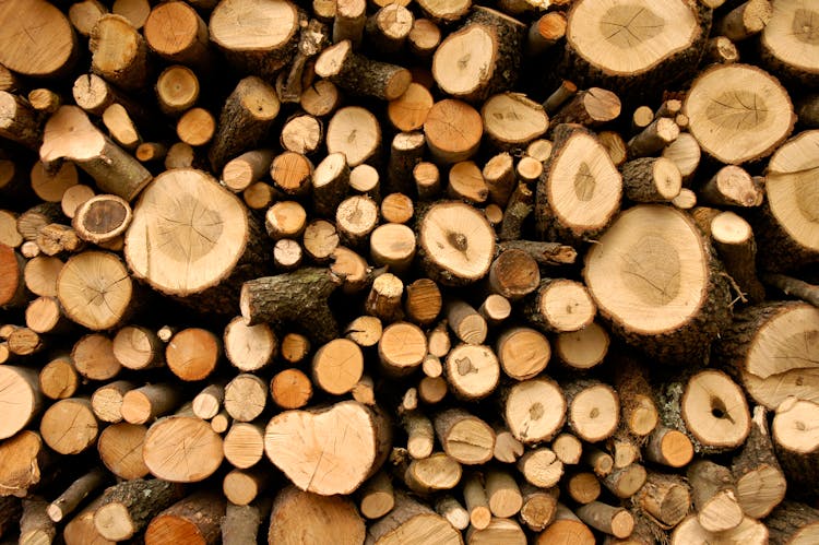 Firewood Lot