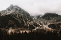 在黎明时分，探索雾峰被森林环绕的宁静之美