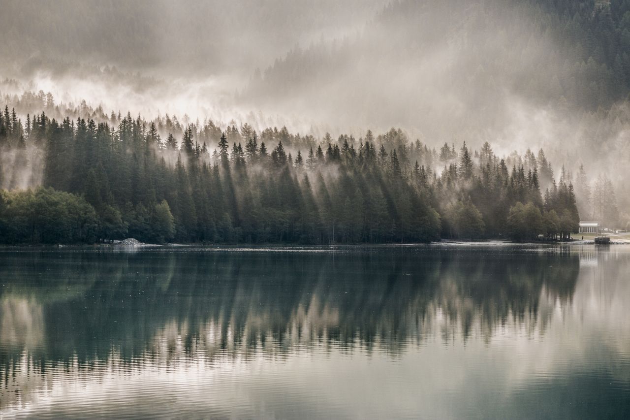 serene foggy forest reflected on a tranquil lake creating a mystical n